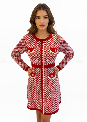 Mary Red Patterned Dress Dresses